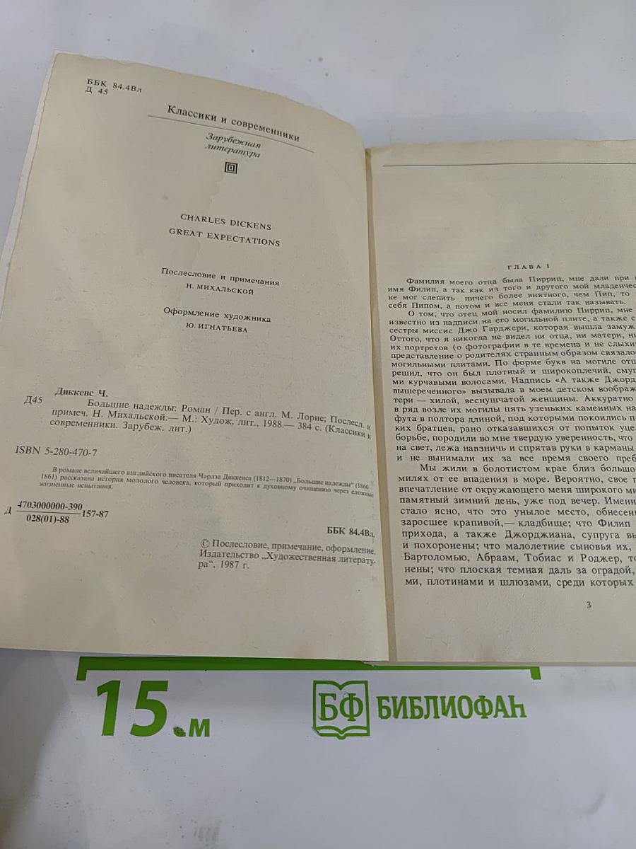 Большие надежды