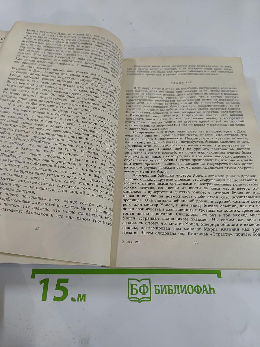 Большие надежды