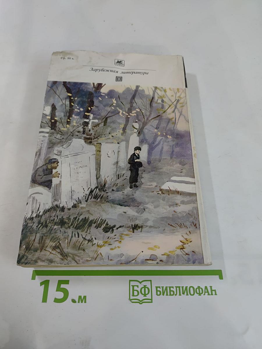 Большие надежды