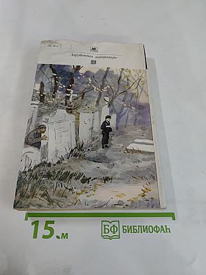 Большие надежды