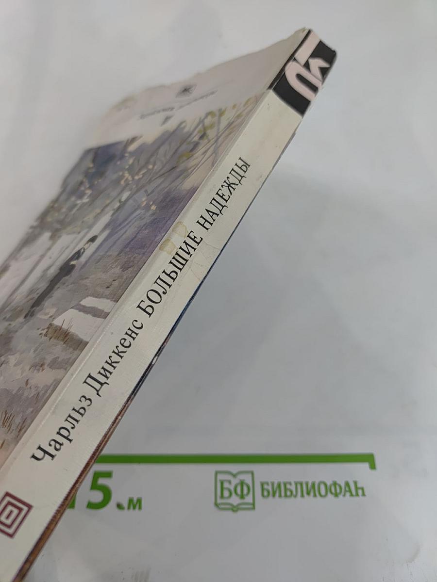 Большие надежды