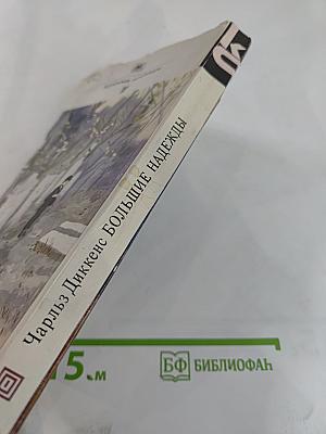 Большие надежды