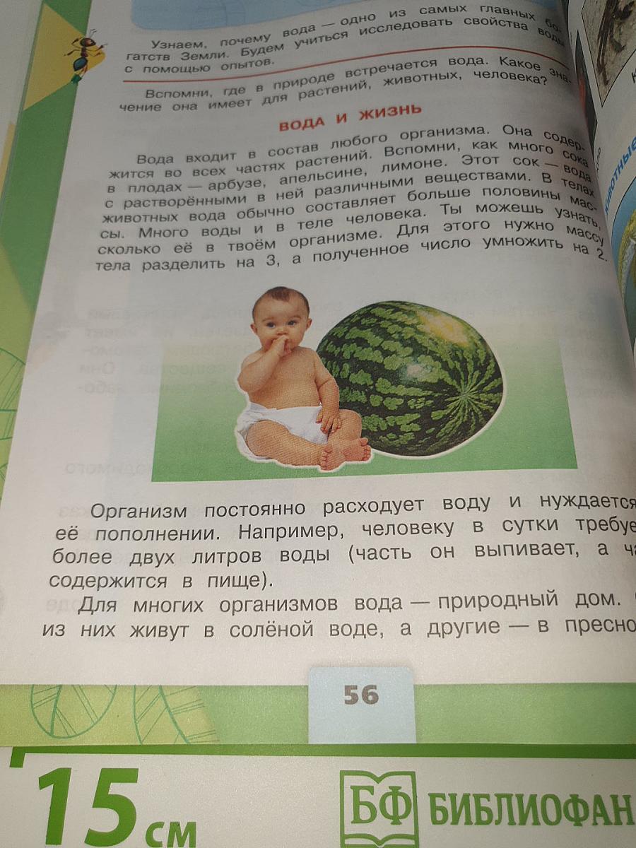 Окружающий МИР