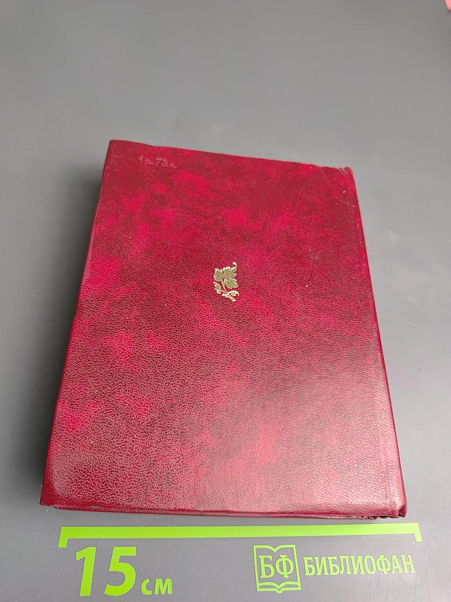 Звезды поэзии