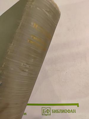 Жизнь Клима Самгина. Часть вторая