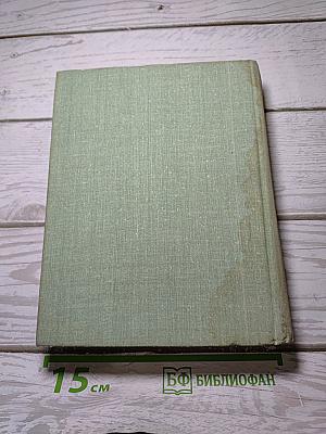 Маков цвет. Наследник. Столкновение. Жизнь прожить