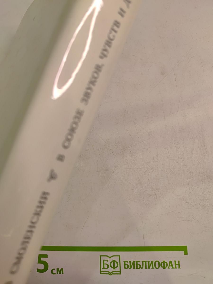 В союзе звуков, чувств и дум