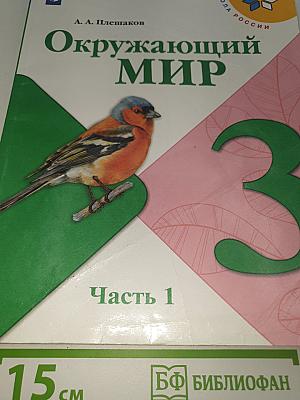 Окружающий мир. 3 класс. В двух частях. Часть 1