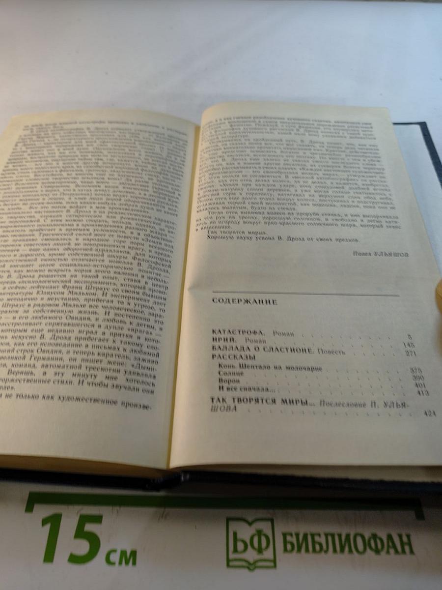 Солнцеворот