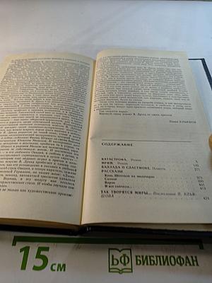 Солнцеворот