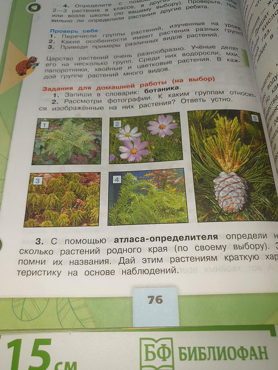 Окружающий мир. 3 класс. В двух частях. Часть 1