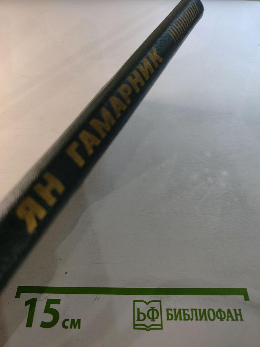 Ян Гамарник. Воспоминания друзей и соратников