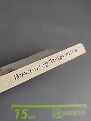 Покушение на миражи. Чистые воды Китежа