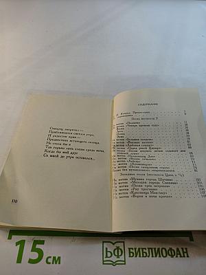 Юэфу из средневековой китайской лирики