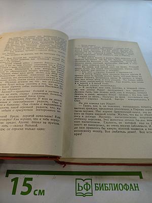 Черный консул