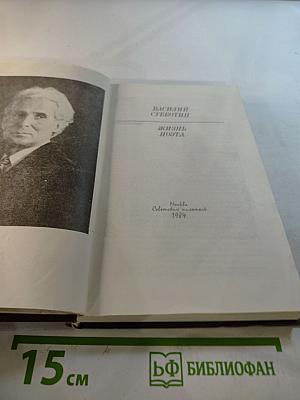 Жизнь поэта