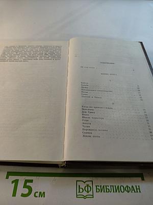 Жизнь поэта