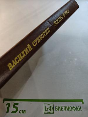 Жизнь поэта