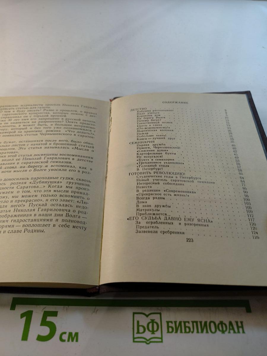 Повесть о Чернышевском