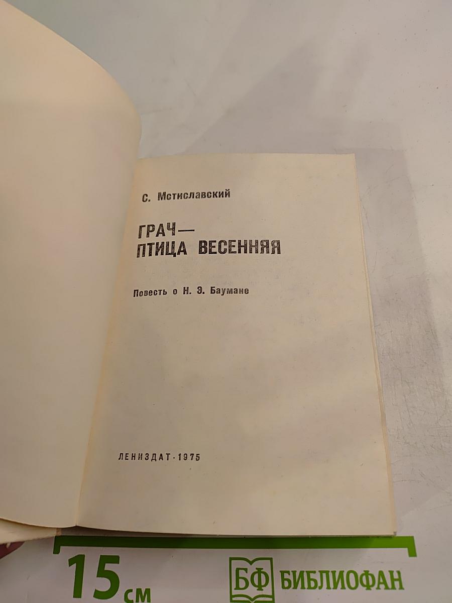 Грач — птица весенняя