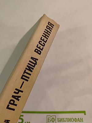 Грач — птица весенняя