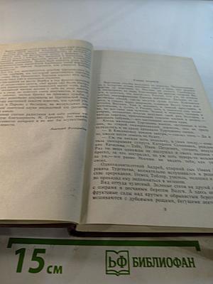 Повесть о братьях Тургеневых. Осуждение Паганини