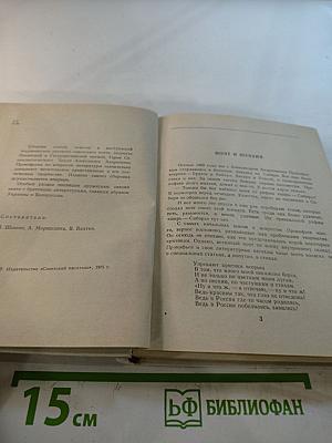 Свет поэзии. Статьи и заметки о литературе