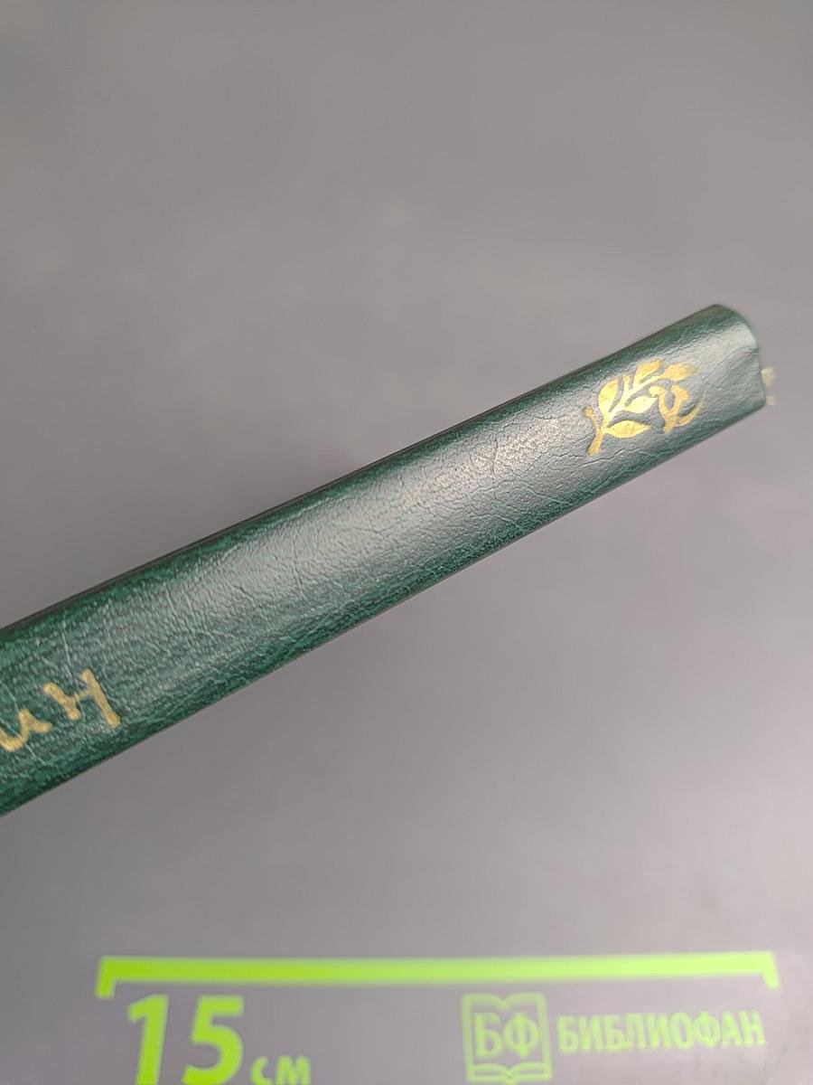 Век. Земля. Любовь