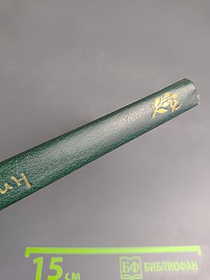 Век. Земля. Любовь