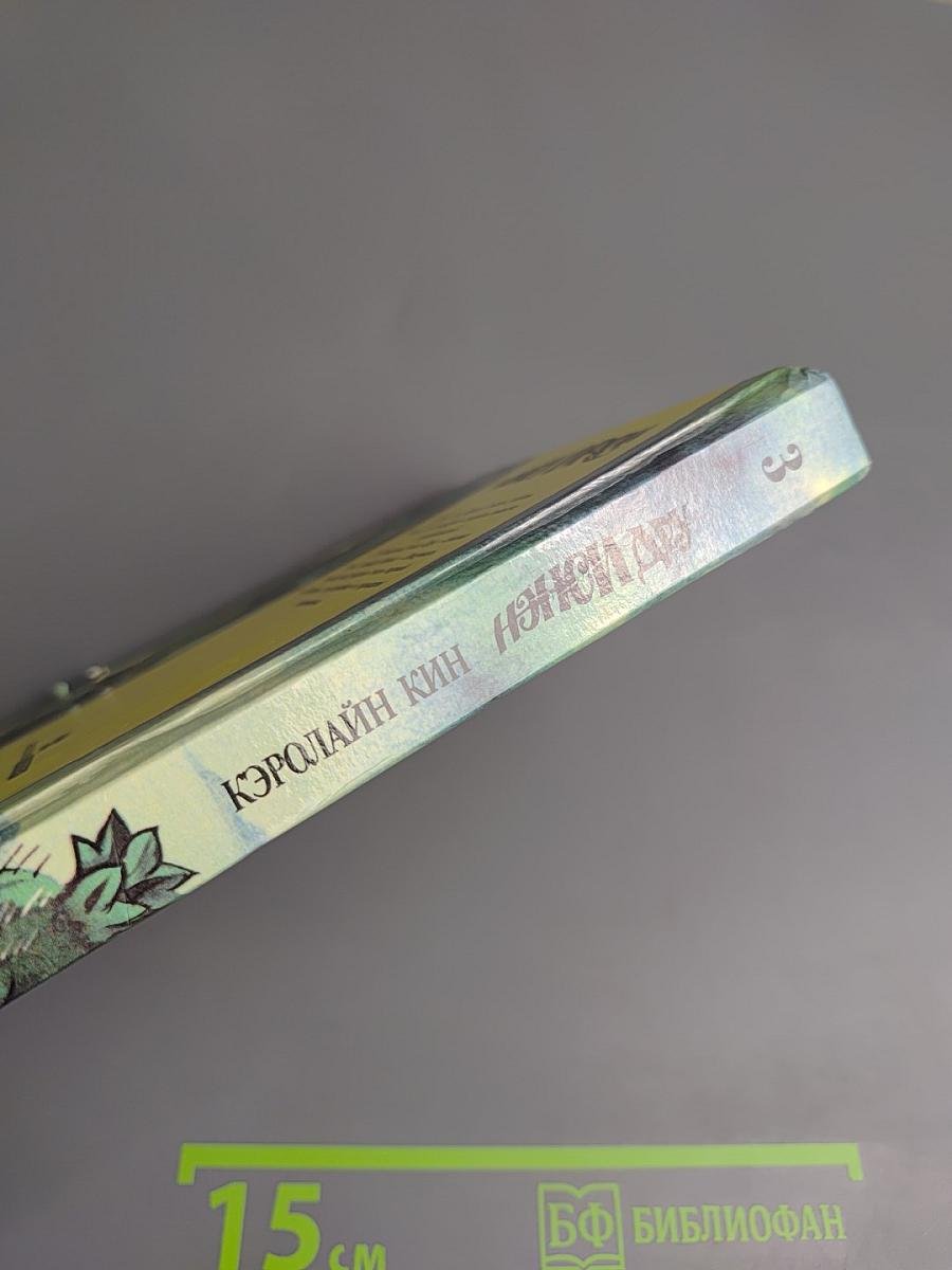 Нэнси Дрю: Тайна тибетского сокровища. Тайна курорта "Солэр"