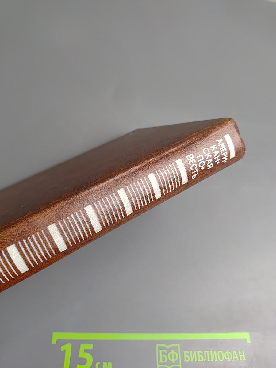 Американская повесть. Книга вторая