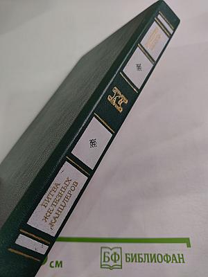 Битва железных канцлеров