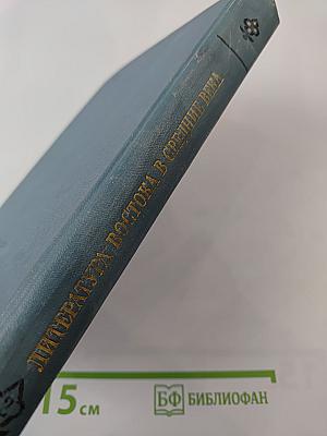 Литература Востока в средние века. Часть II
