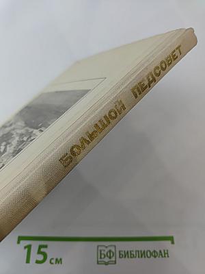 Большой педсовет