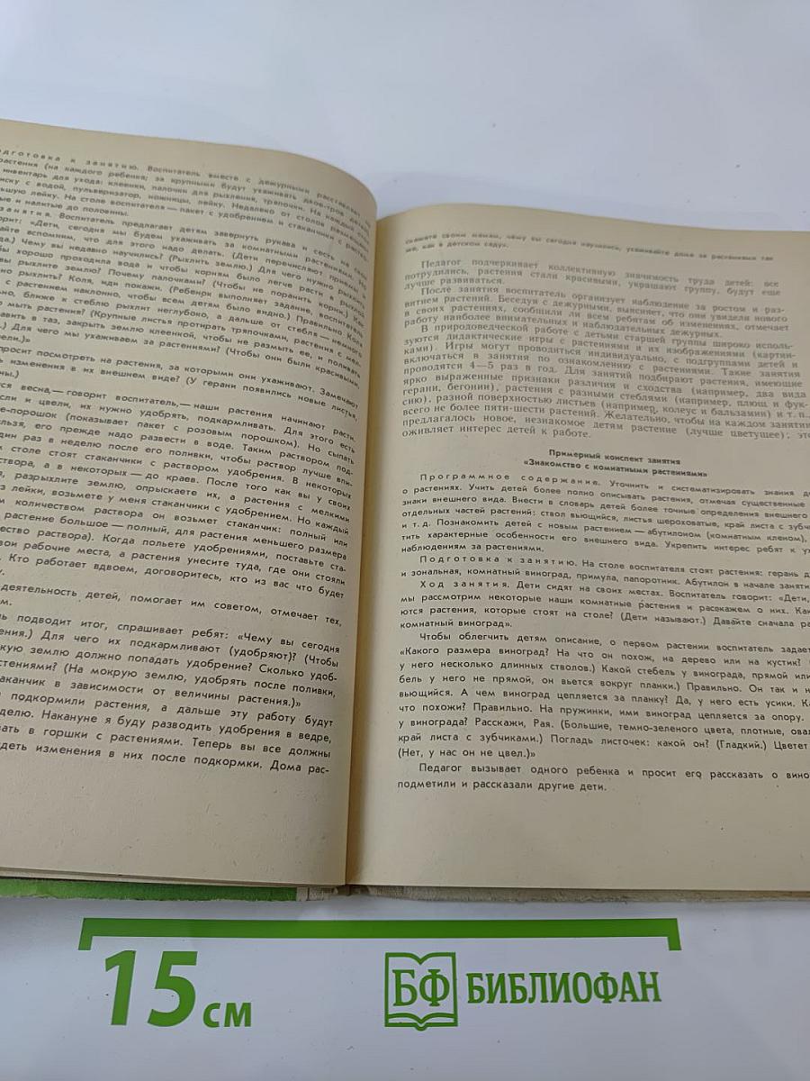 Уголок природы в детском саду