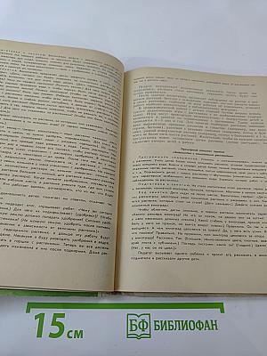 Уголок природы в детском саду