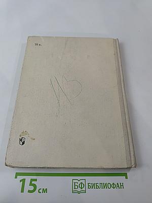 Уголок природы в детском саду