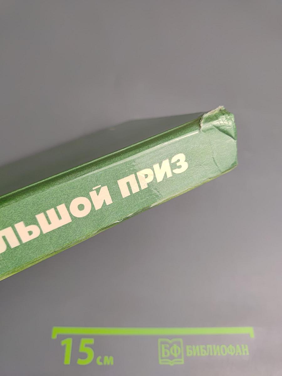 Большой приз