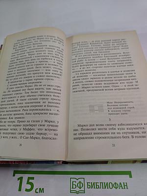 Сын Неба. Странствия Марко Поло