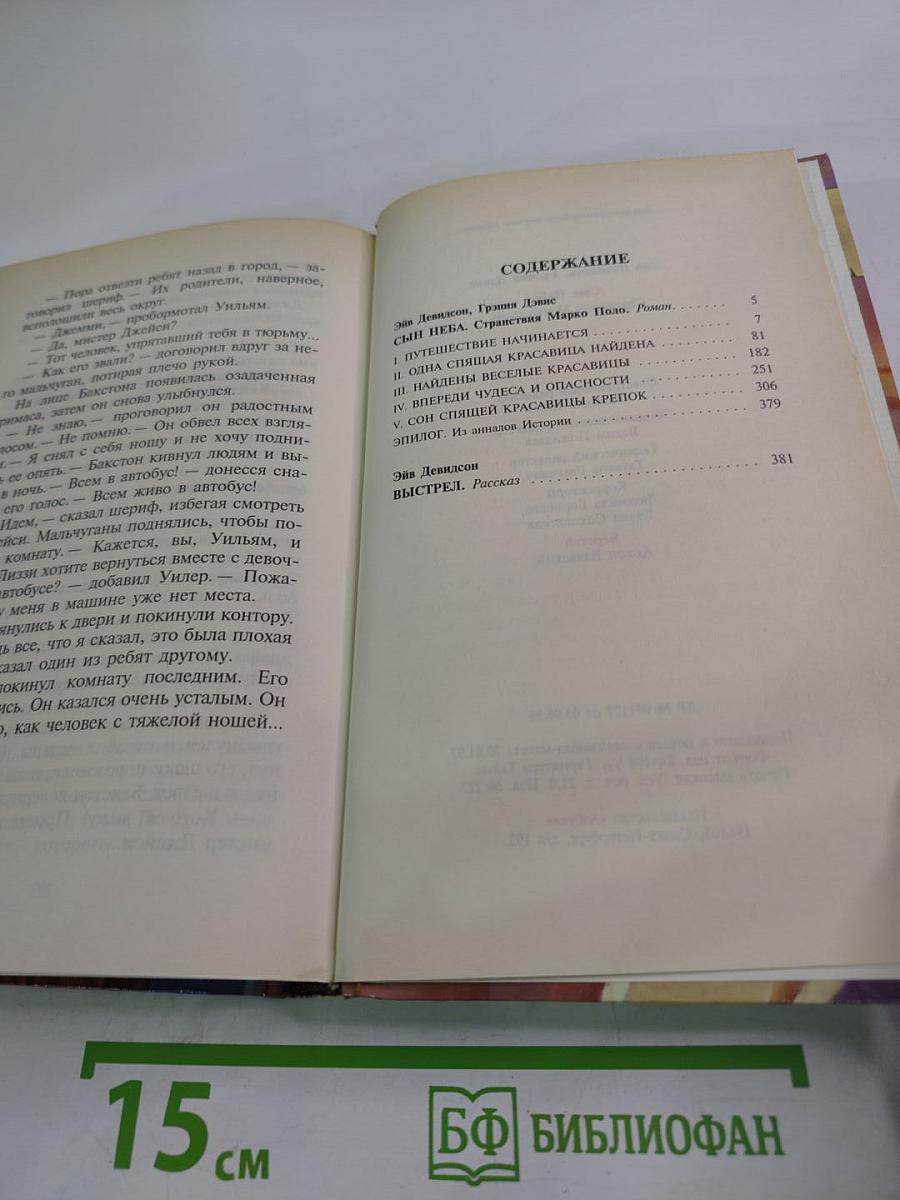 Сын Неба. Странствия Марко Поло