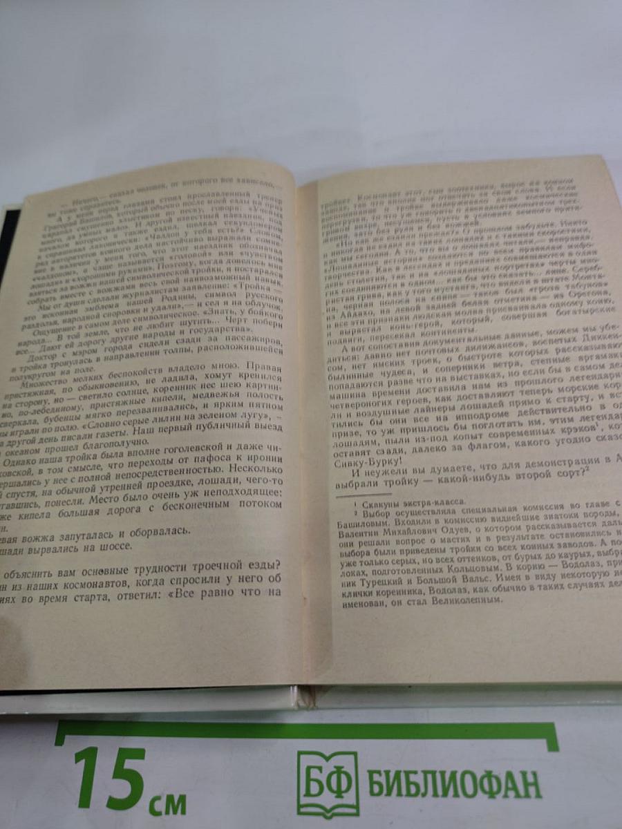 Кони в океане