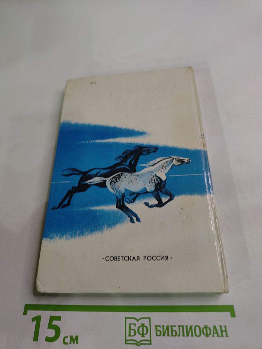 Кони в океане