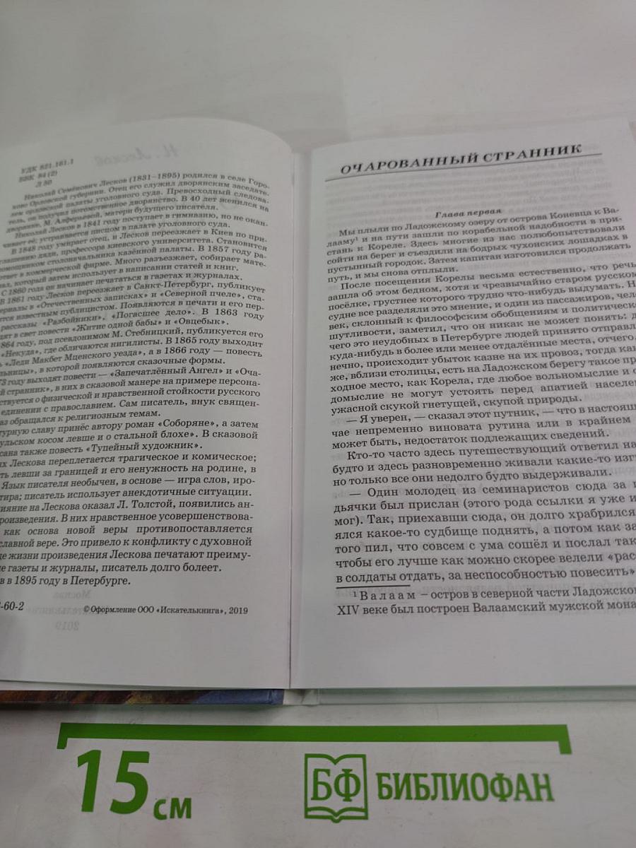 Очарованный странник. Тупейный художник