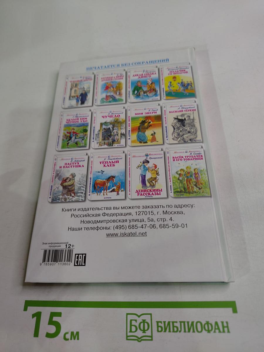 Очарованный странник. Тупейный художник