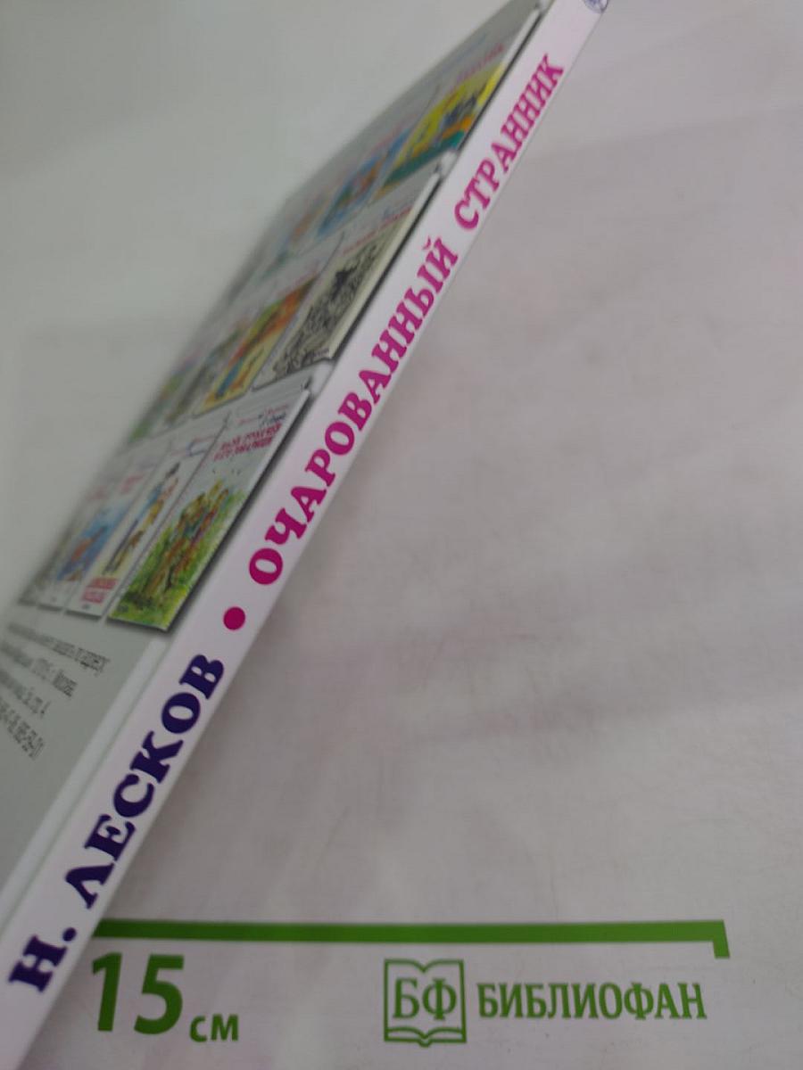 Очарованный странник. Тупейный художник