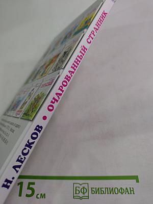 Очарованный странник. Тупейный художник