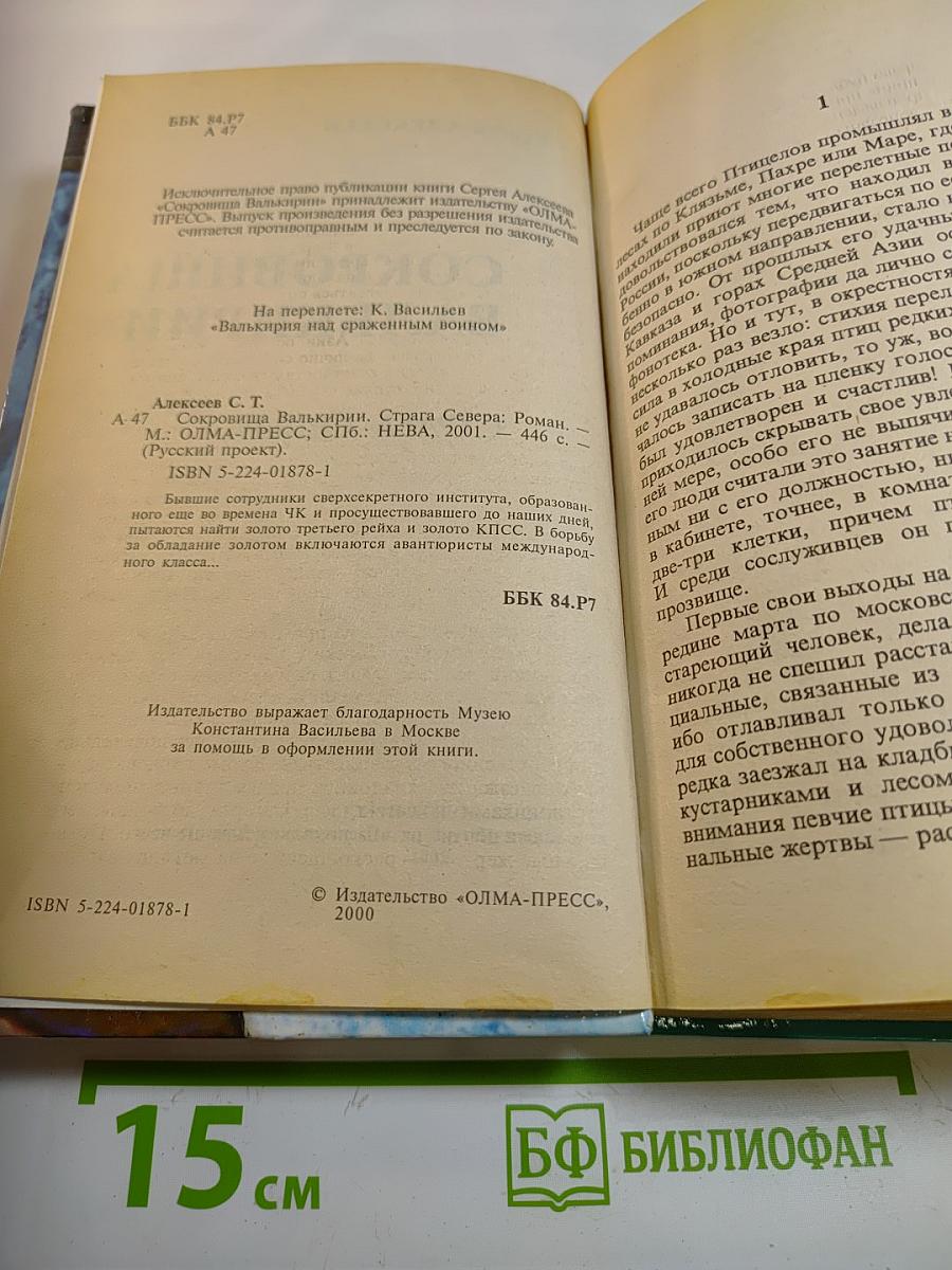 Сокровища Валькирии. Страга Севера