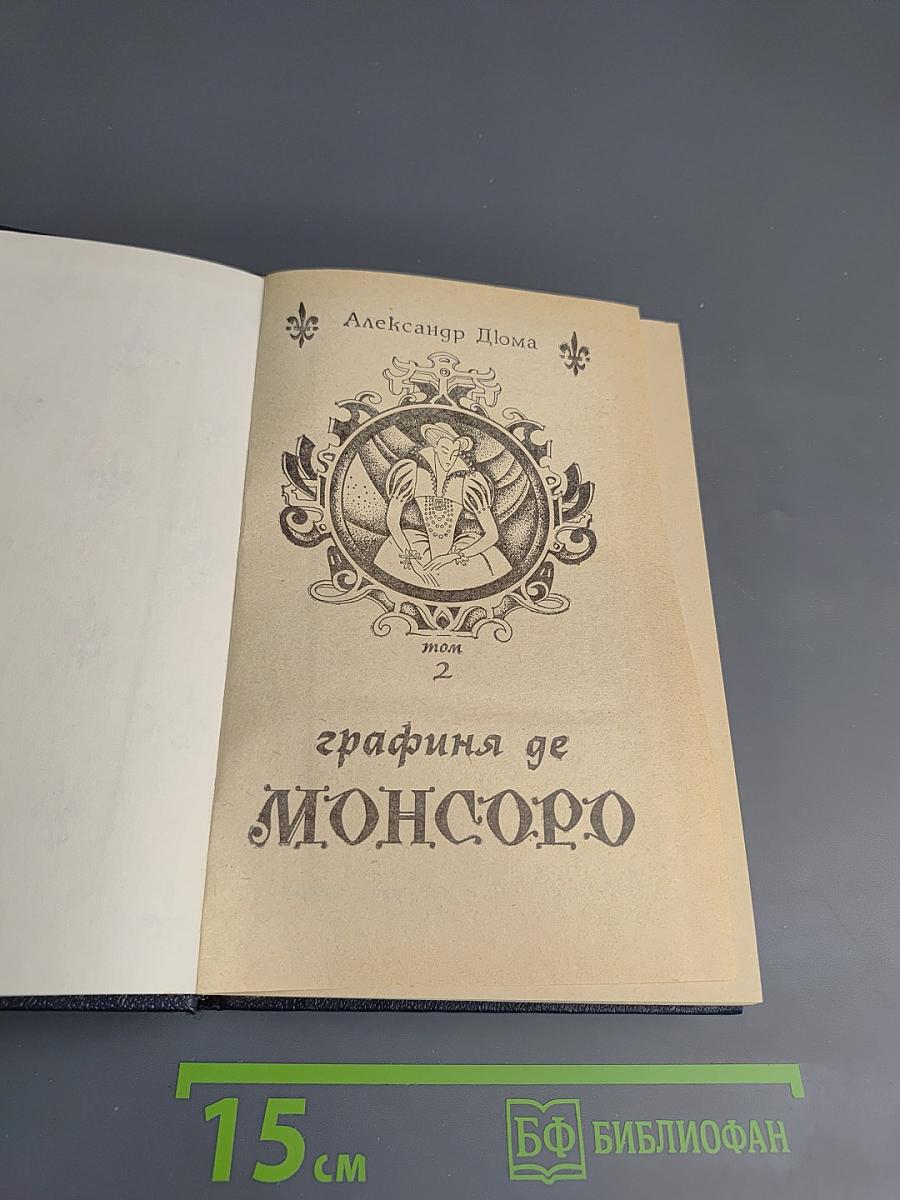 Графиня де Монсоро. Том 2