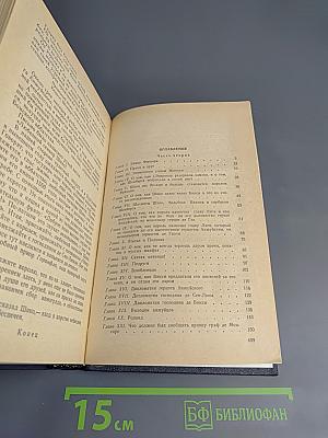 Графиня де Монсоро. Том 2