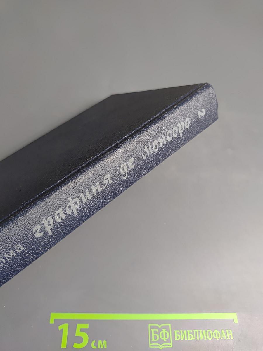 Графиня де Монсоро. Том 2